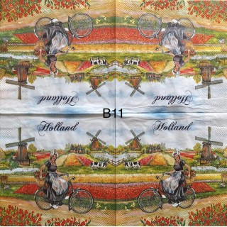 Decorative Napkins B11