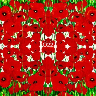 Napkin Cocktail O22