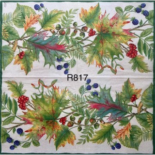 Decorative Napkins R817