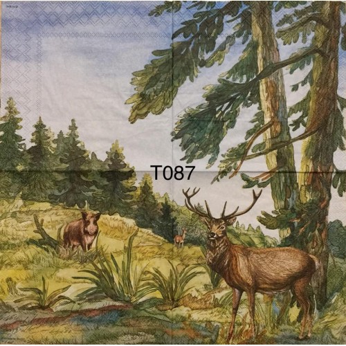 Decorative Napkins T087
